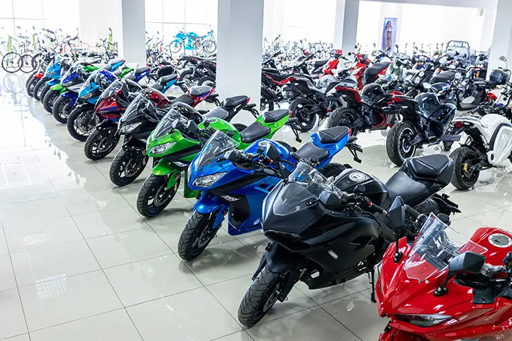 Огромный выбор